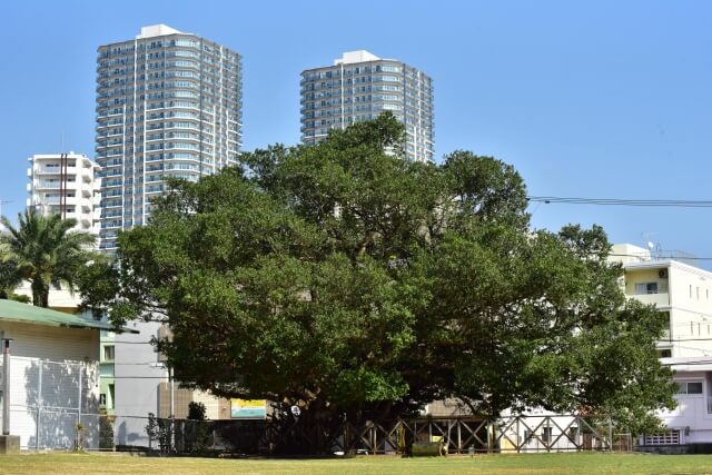 沖縄、転職、不動産、那覇、新都心